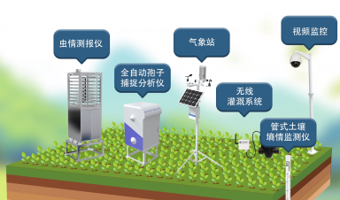 智慧農業創新方案，賦能農業現代化轉型新征程